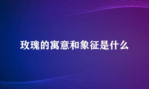 玫瑰的寓意和象征是什么