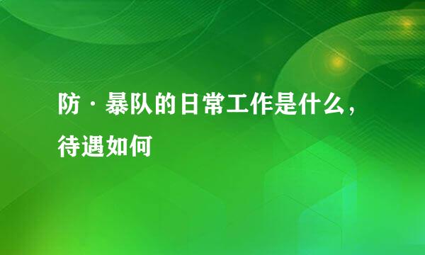 防·暴队的日常工作是什么，待遇如何