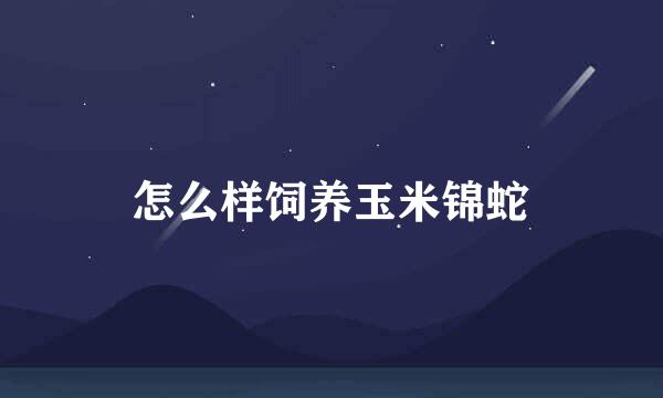 怎么样饲养玉米锦蛇