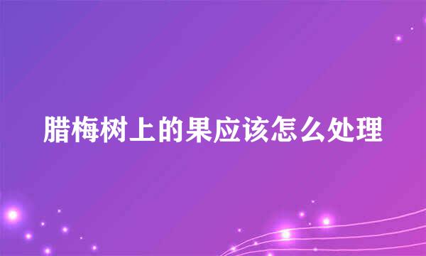 腊梅树上的果应该怎么处理