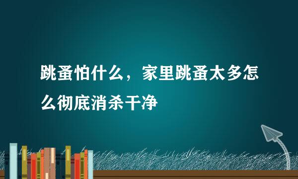 跳蚤怕什么，家里跳蚤太多怎么彻底消杀干净