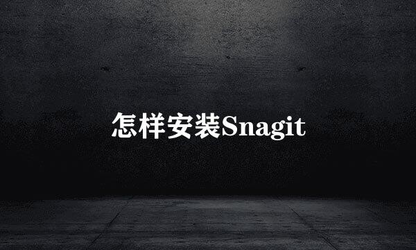 怎样安装Snagit