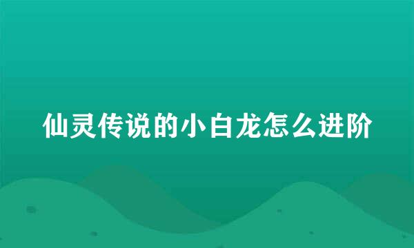 仙灵传说的小白龙怎么进阶