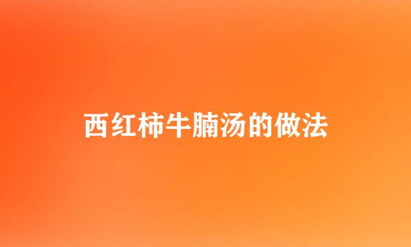 西红柿牛腩汤的做法