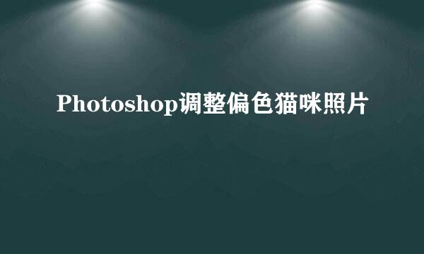 Photoshop调整偏色猫咪照片