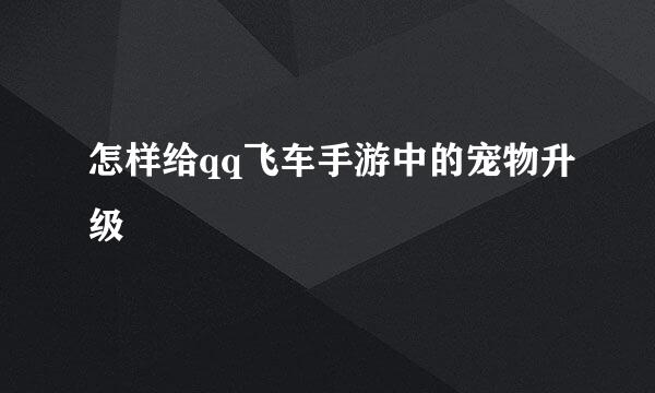 怎样给qq飞车手游中的宠物升级