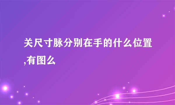 关尺寸脉分别在手的什么位置,有图么