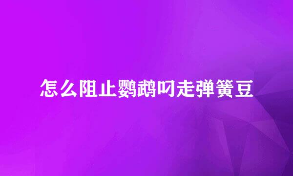 怎么阻止鹦鹉叼走弹簧豆
