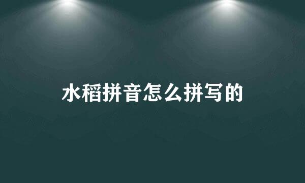 水稻拼音怎么拼写的