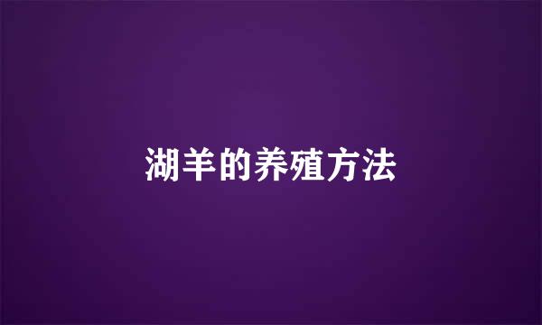 湖羊的养殖方法