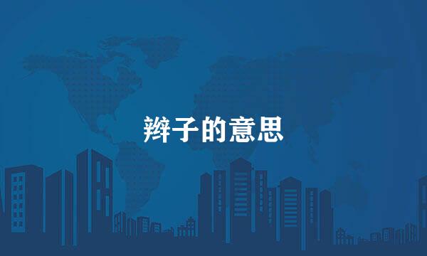 辫子的意思