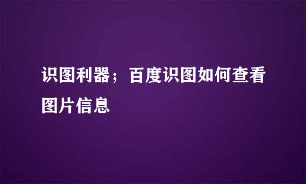 识图利器；百度识图如何查看图片信息