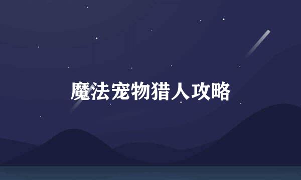 魔法宠物猎人攻略