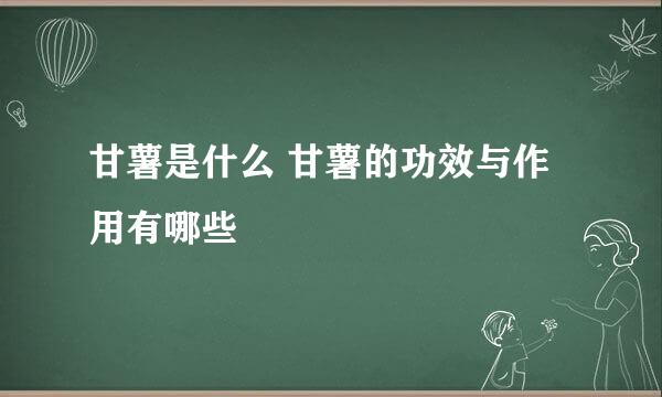 甘薯是什么 甘薯的功效与作用有哪些
