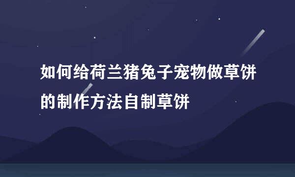 如何给荷兰猪兔子宠物做草饼的制作方法自制草饼