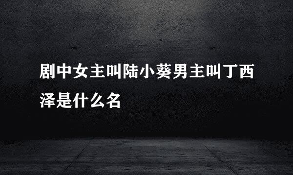 剧中女主叫陆小葵男主叫丁西泽是什么名