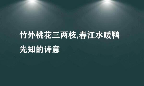 竹外桃花三两枝,春江水暖鸭先知的诗意