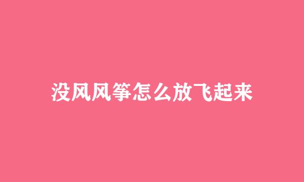 没风风筝怎么放飞起来
