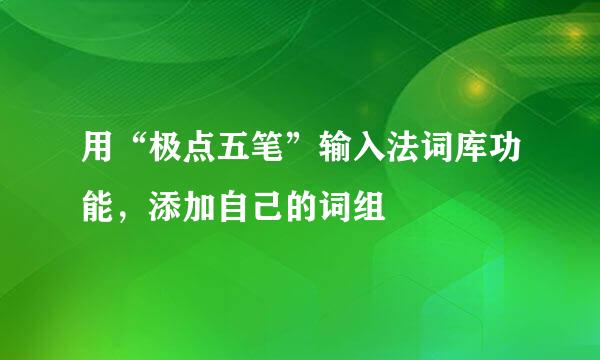 用“极点五笔”输入法词库功能，添加自己的词组