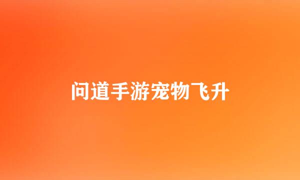 问道手游宠物飞升