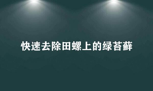 快速去除田螺上的绿苔藓