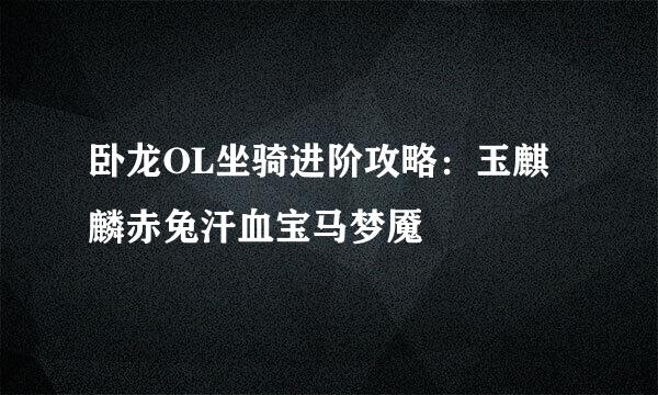 卧龙OL坐骑进阶攻略：玉麒麟赤兔汗血宝马梦魇