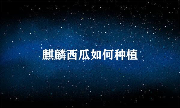 麒麟西瓜如何种植
