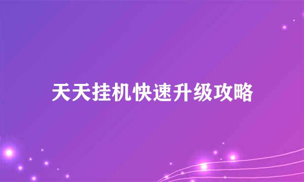 天天挂机快速升级攻略