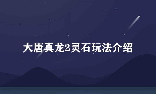 大唐真龙2灵石玩法介绍