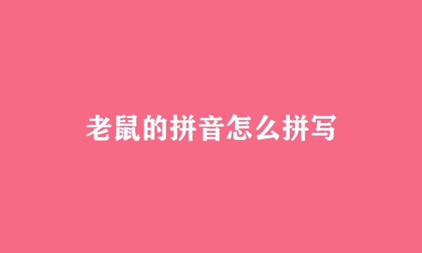 老鼠的拼音怎么拼写