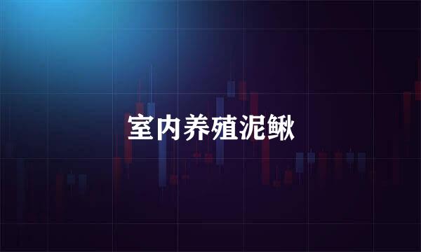 室内养殖泥鳅