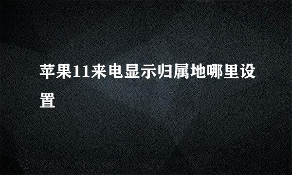 苹果11来电显示归属地哪里设置
