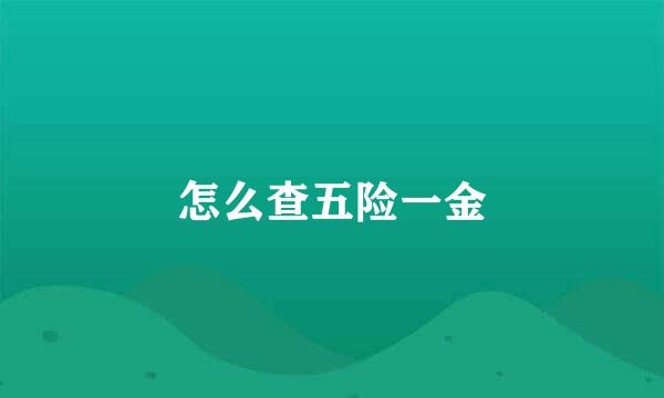 怎么查五险一金