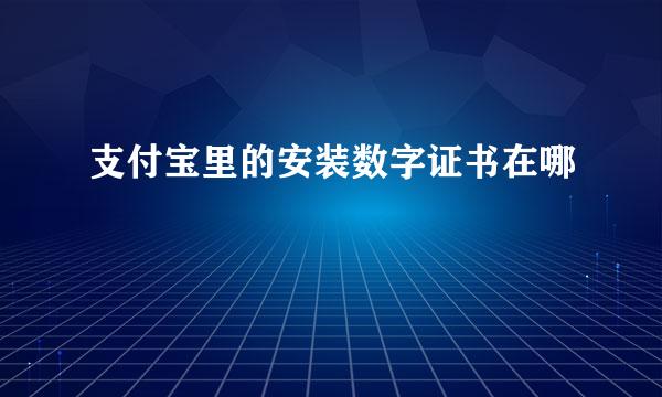 支付宝里的安装数字证书在哪