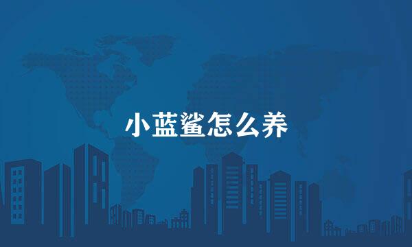 小蓝鲨怎么养