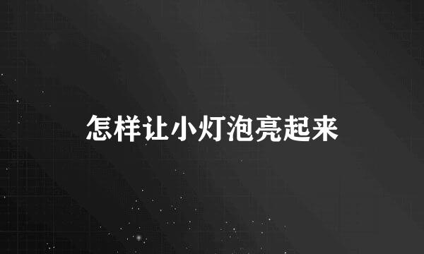 怎样让小灯泡亮起来