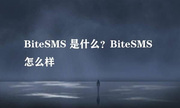 BiteSMS 是什么?BiteSMS 怎么样