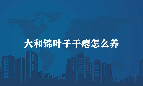 大和锦叶子干瘪怎么养