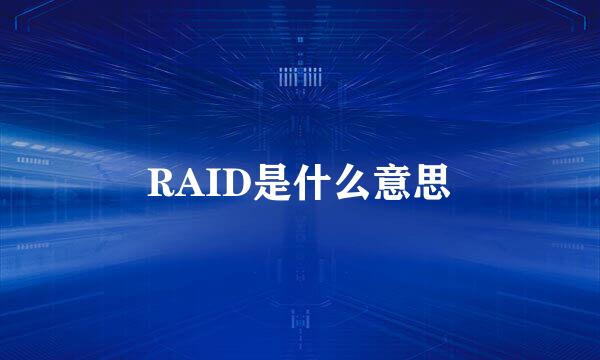 RAID是什么意思