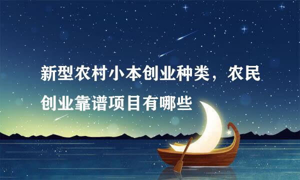 新型农村小本创业种类，农民创业靠谱项目有哪些