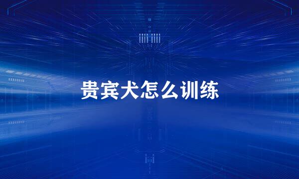 贵宾犬怎么训练