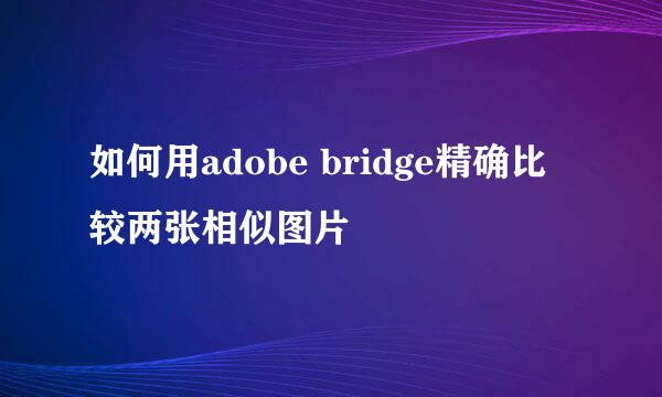 如何用adobe bridge精确比较两张相似图片
