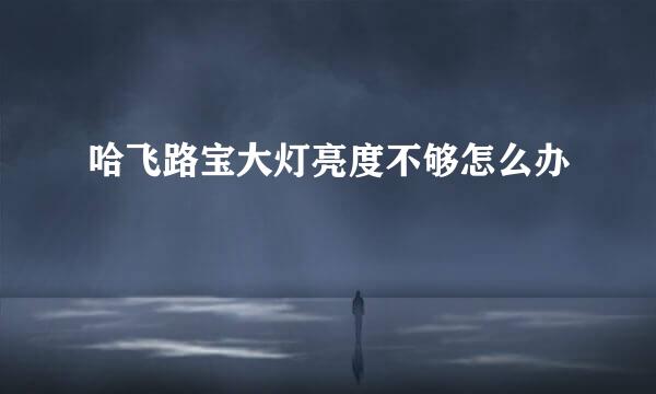 哈飞路宝大灯亮度不够怎么办