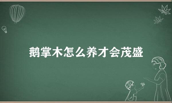 鹅掌木怎么养才会茂盛