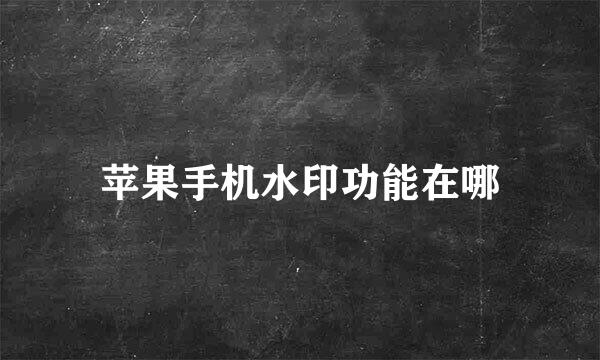 苹果手机水印功能在哪