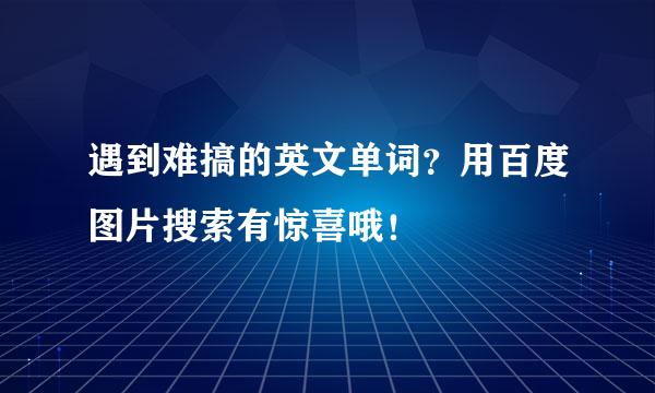 遇到难搞的英文单词？用百度图片搜索有惊喜哦！