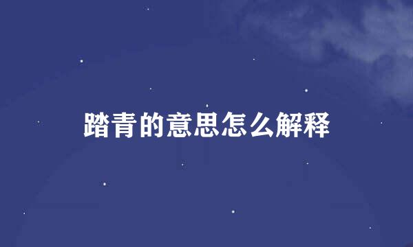踏青的意思怎么解释