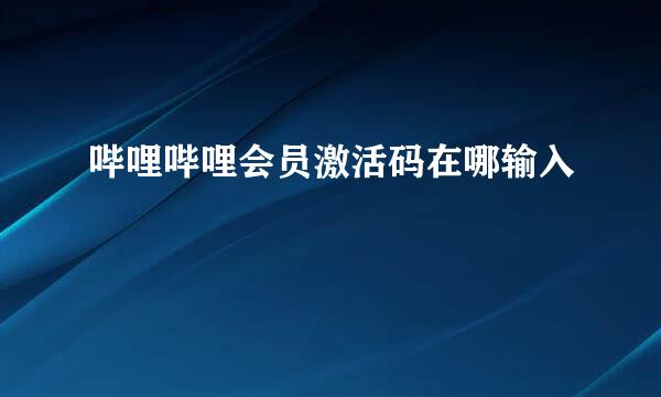 哔哩哔哩会员激活码在哪输入