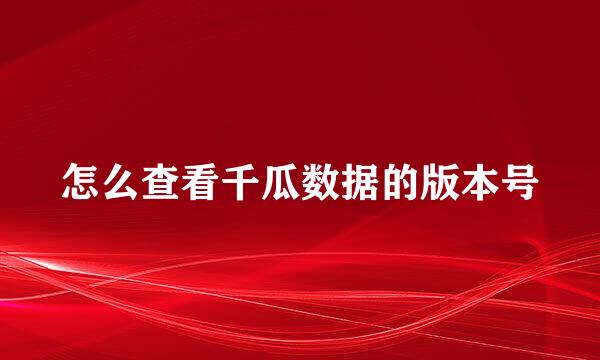 怎么查看千瓜数据的版本号