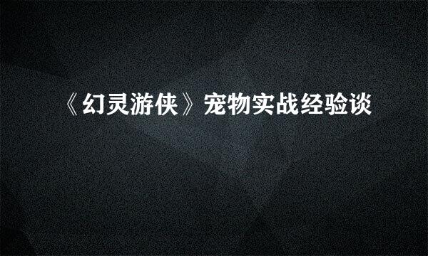 《幻灵游侠》宠物实战经验谈